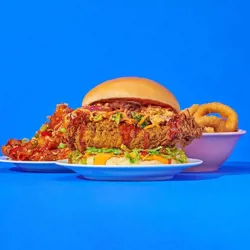 Dish Image