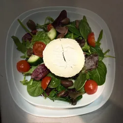 Dish Image