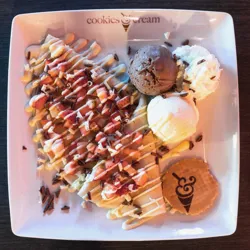 Dish Image