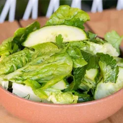 Dish Image