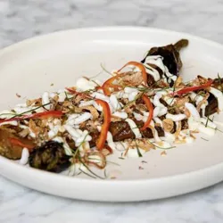 Dish Image