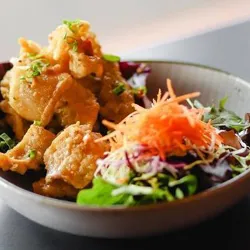 Dish Image