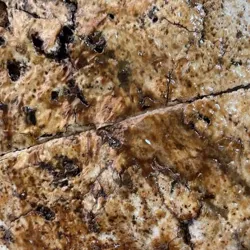 Dish Image