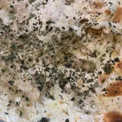 Dish Image