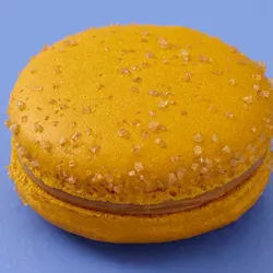 Dish Image