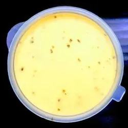 Dish Image