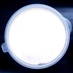 Dish Image