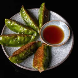 Dish Image