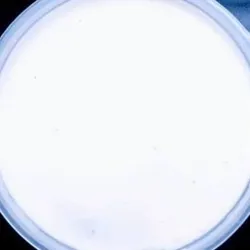 Dish Image