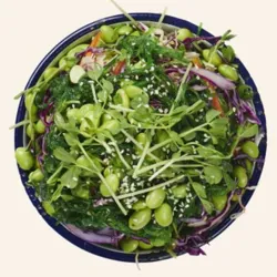 Dish Image