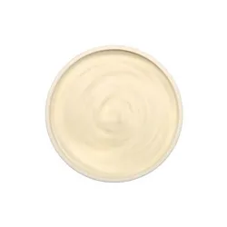 Dish Image