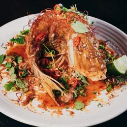 Dish Image