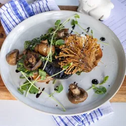 Dish Image