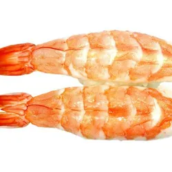 Dish Image