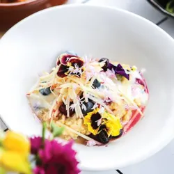 Dish Image