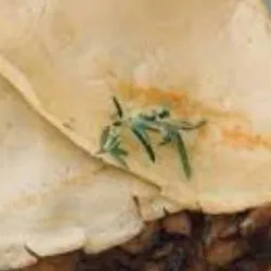 Dish Image