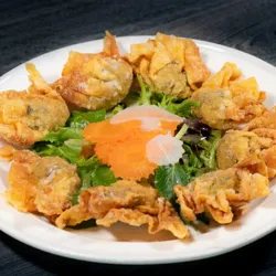 Dish Image