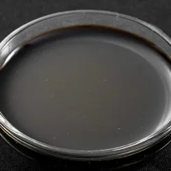 Dish Image