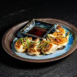 Dish Image