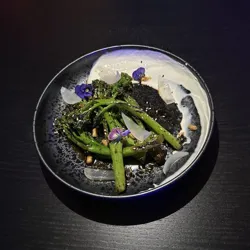 Dish Image