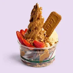 Dish Image