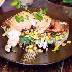 Dish Image