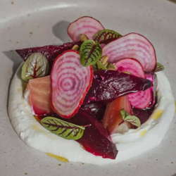 Dish Image