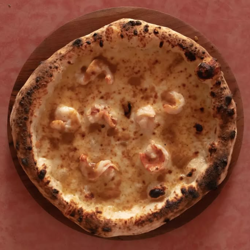 Dish Image