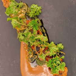 Dish Image