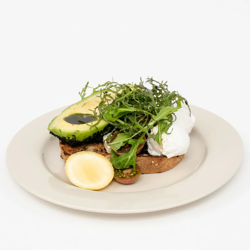 Dish Image