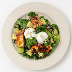 Dish Image