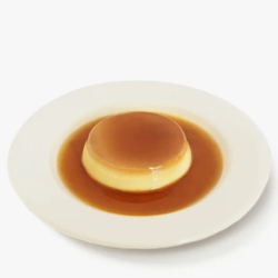 Dish Image