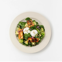 Dish Image