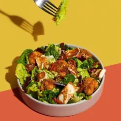 Dish Image