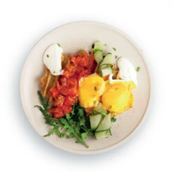 Dish Image