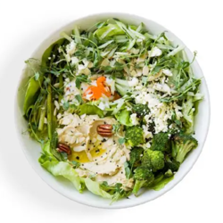 Dish Image