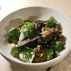 Dish Image