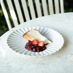 Dish Image