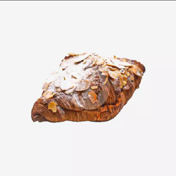 Dish Image