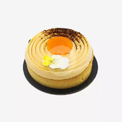 Dish Image